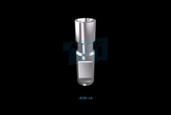 DNA Analogic Virtual Tube DentsplySirona_LAAstraTechEV_A