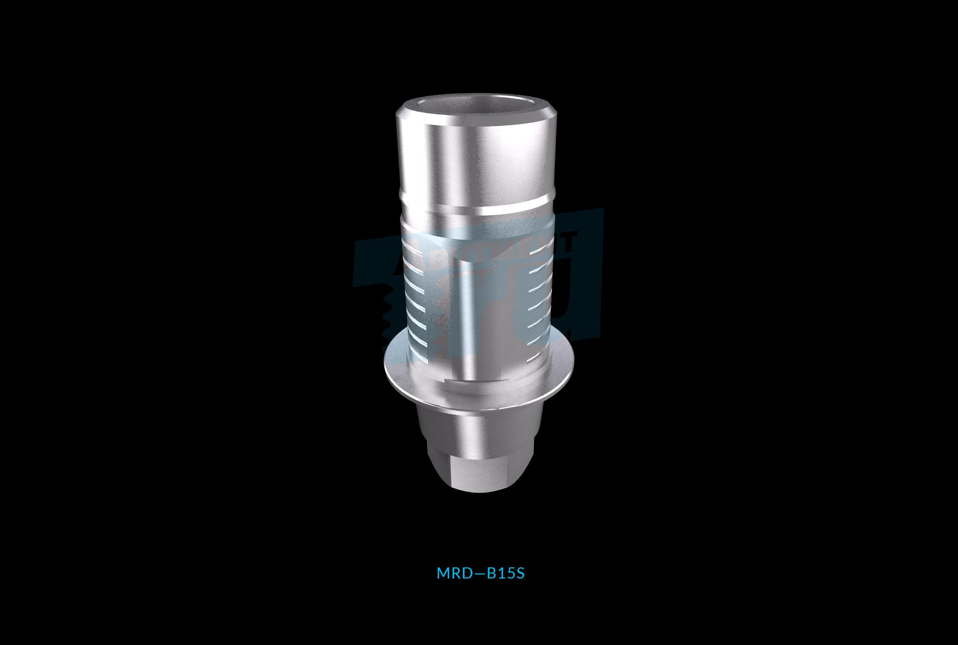 健康・医学 216 IMPLANTS Ultimate guide 健康・医学 216 IMPLANTS Ultimate guide 健康・医学 216