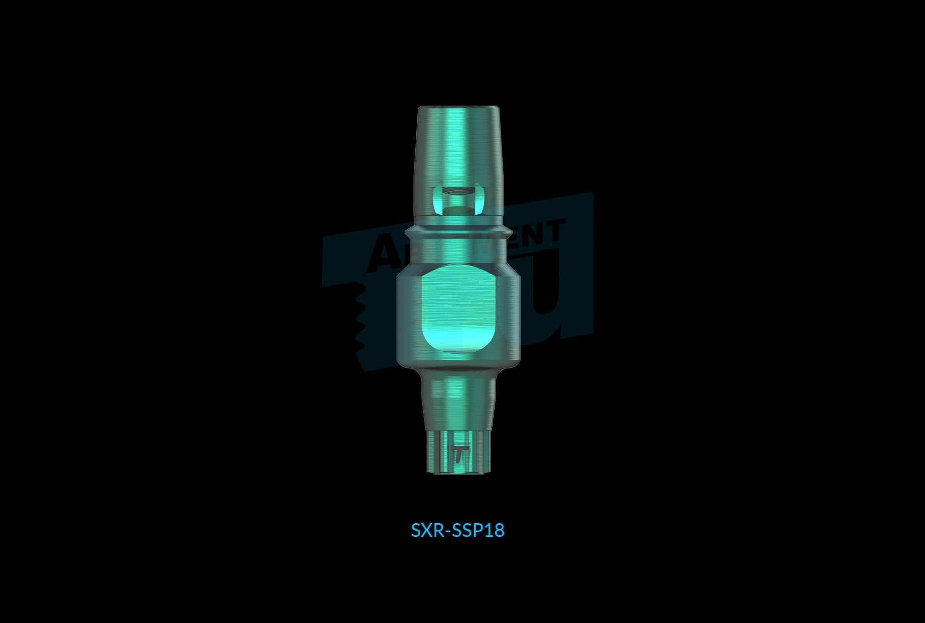 SXR-SSP18_2048x.jpg?v=1740826214